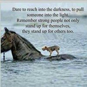 Denine A Vooris's photo