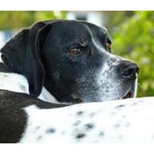 Julian Kelly's photo