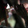 rachel_clanton