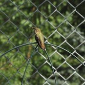 Nicole Abba's photo