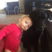 Chad Chew's photo