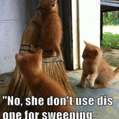 Jenn Hatfield's photo