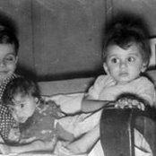 Nargis Shafis foto