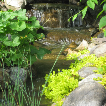WATER IN THE LANDSCAPE