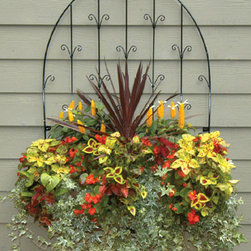 30" Side Planting Window Box and Trellis - Outdoor Pots And Planters