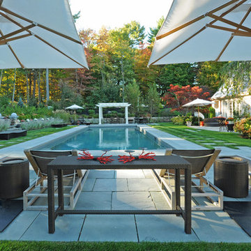 Backyard Pools