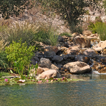 Ranch Reservoir & Nectar Garden w/ BioHaven Floating Island