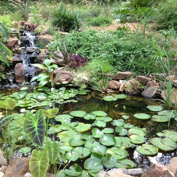 Doss Pond