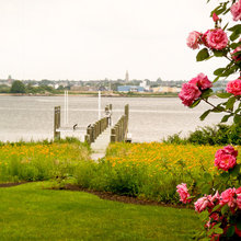Landscaping Ideas