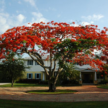 JARDINES