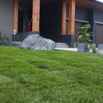Landscape