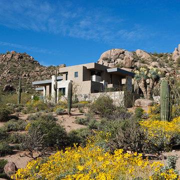 Pinnacle Peak Modern | Front Yard