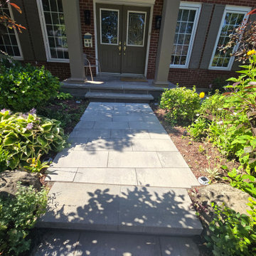 North York Project