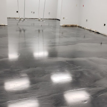 Our Work
