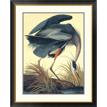 "Great Blue Heron" Framed Digital Print by John James Audubon, 34x42"