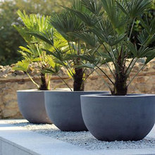 Wilder Landscaping: Courtyard