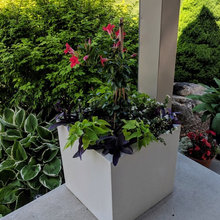 Planters