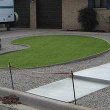 Dog Run
