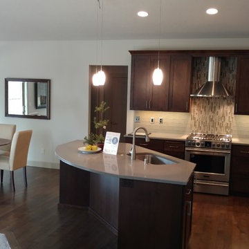11107 E. Mica Project