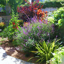 LOW WATER GARDEN