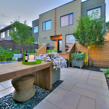 Contemporary Gardens