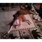 John Martin's photo