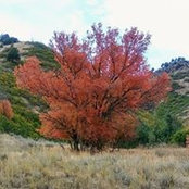 Kathy Sheetz's photo