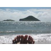 Saiva Steinhards's photo
