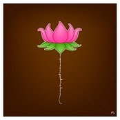 Robin Shrestha's photo