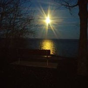 Laurie Daggett's photo