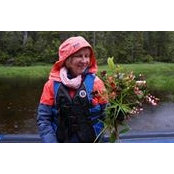 Carol Cornbills foto
