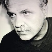 Nils Sanders's photo