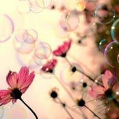Jane Ybarra's photo