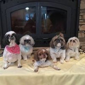 Linda Ladd's photo