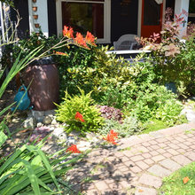 rain garden