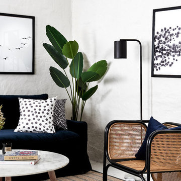MODERN COASTAL