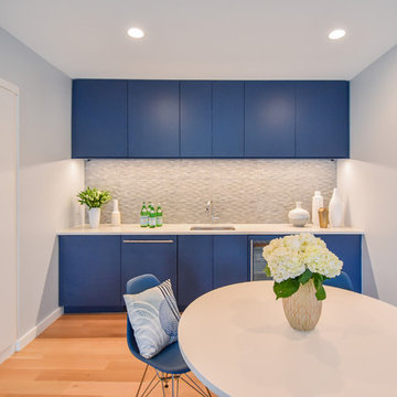Modern Basement Makeover, Gladwyne PA