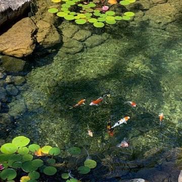 Azaroff Garden