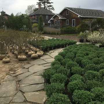 Corporate Headquarters, Water Mill