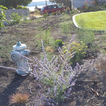 Edible Front Yard