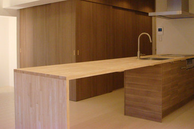 Design ideas for a modern kitchen in Kobe.