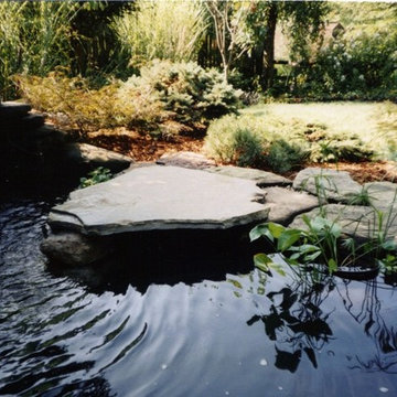 Ponds