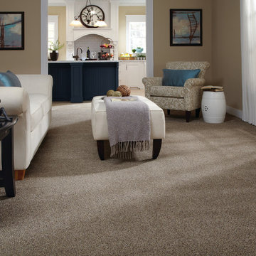 Shaw Carpet