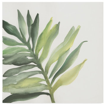 Chris Paschke 'Tropical Palm Iii' Canvas Art, 14"x14"
