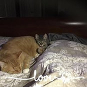 Christine Starrs's photo