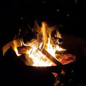 Alex Davis's photo