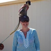 Colleen Waldron Huggins's photo