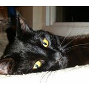 Sonya Bolus's photo