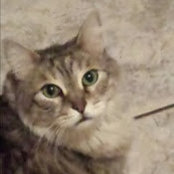 Nancy Vance's photo