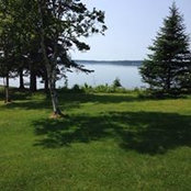 Patty Wilkens's photo